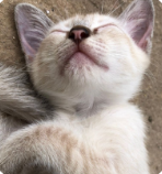 <em><strong>Emily P.</strong></em>